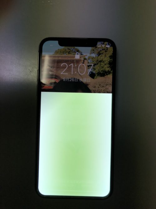 Iphonexの画面が緑色にチカチカして故障 しっかりと原因を突き止めない限り同じことの繰り返し 税務 会計 ときどきゴルフ